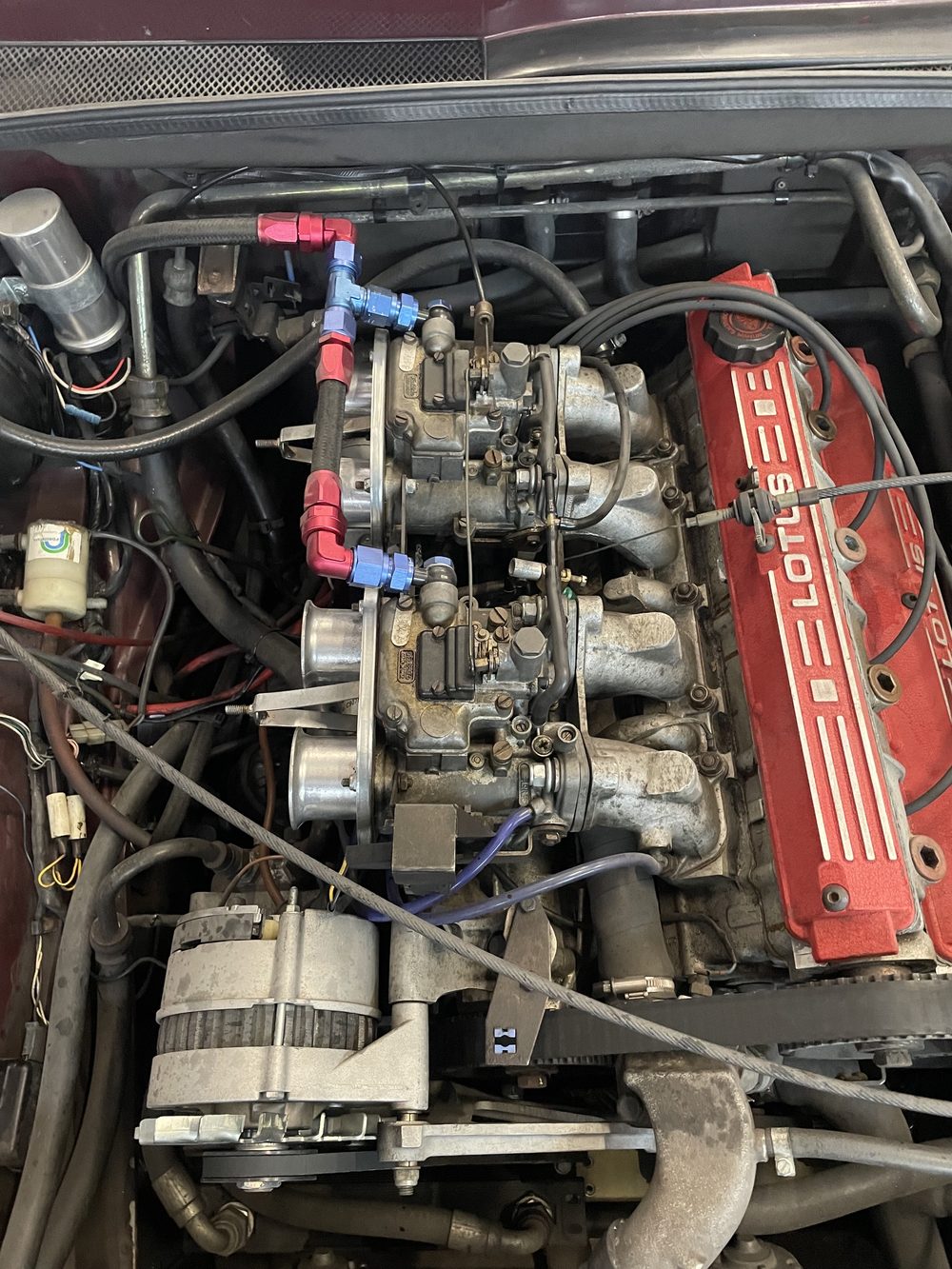 Lotus-Motor mit zwei Weber-Doppelvergasern und offenen Ansaugtrichtern